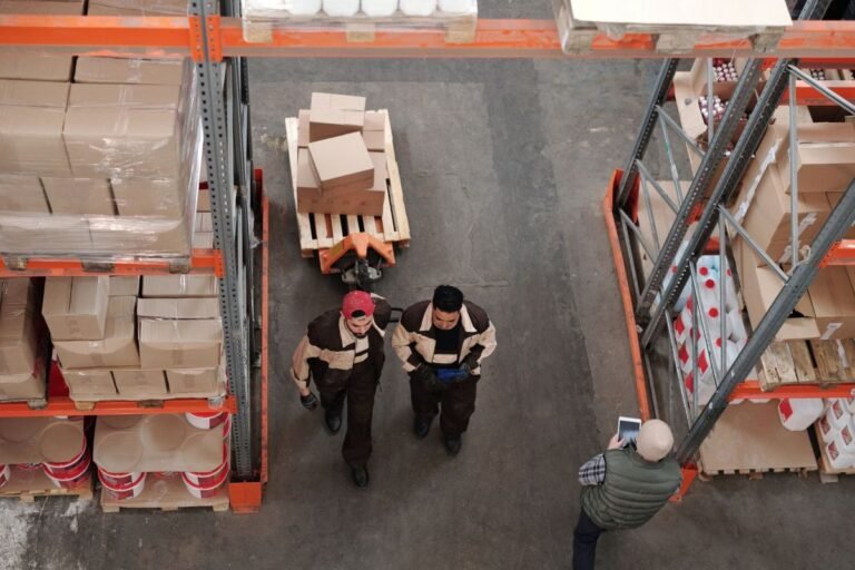 L'équipe de l'entrepôt inspecte le site avant l'installation du broyeur de carton.